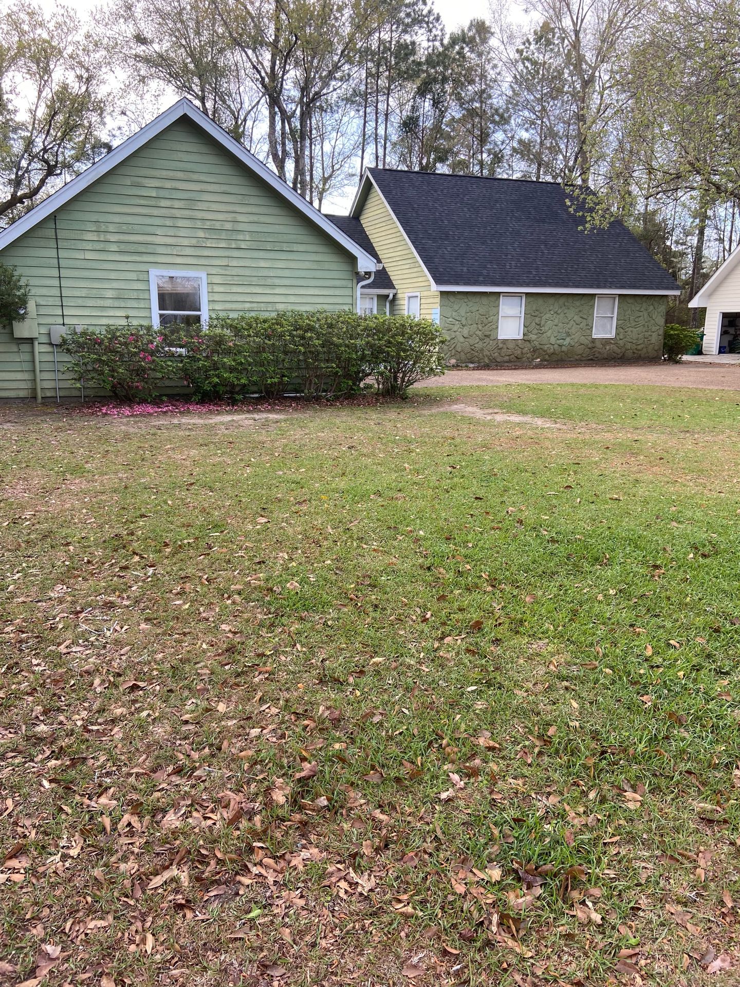 Ranch house exterior before repainting, weathered green siding